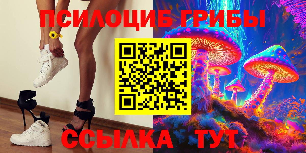 Лесосибирск  Псилоцибиновые грибы Cubensis  Вход с VPN 